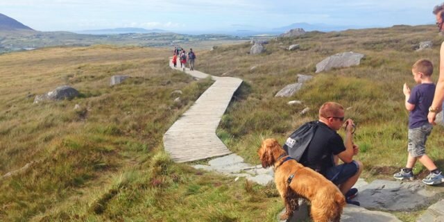 Lower Diamond Hill Walk