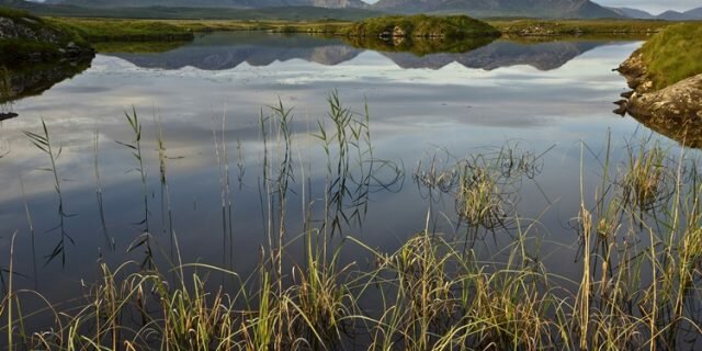 Roundstone Bog Complex